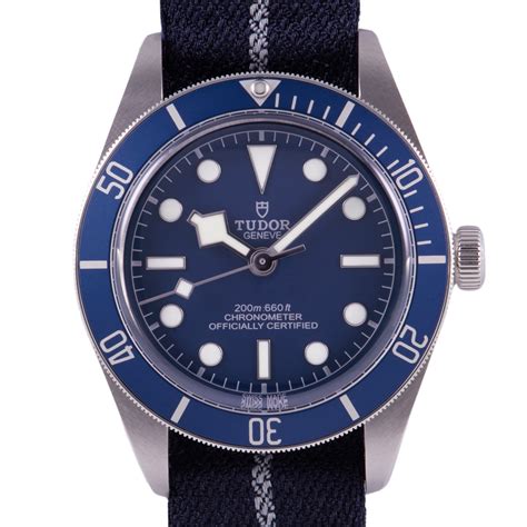 tudor watches sydney